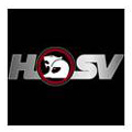 HOSV